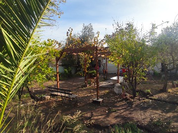 Imagen 7