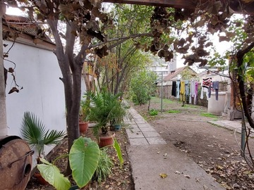 Imagen 5