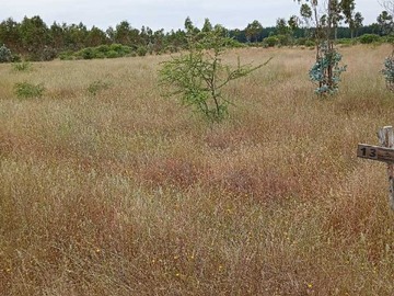 Venta / Terreno / San Nicolás