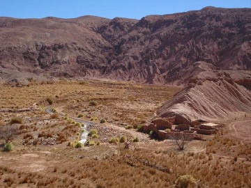 Imagen 4