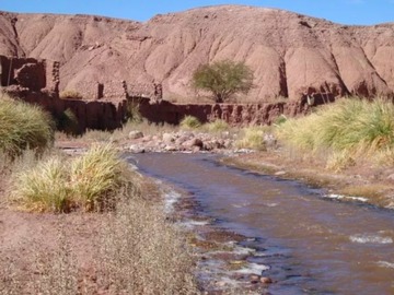 Venta / Terreno / San Pedro de Atacama