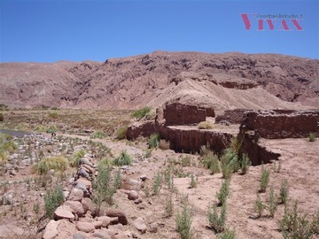 Imagen 8