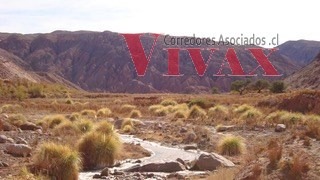 Venta / Terreno / San Pedro de Atacama
