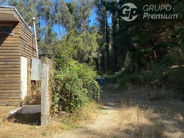 Imagen 9