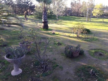 Imagen 5
