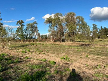 Venta / Terreno / San Rafael