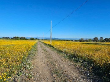 Venta / Terreno / San Rafael