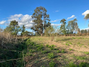 Venta / Terreno / San Rafael