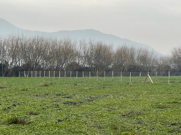 Venta / Terreno / San Vicente de Tagua Tagua