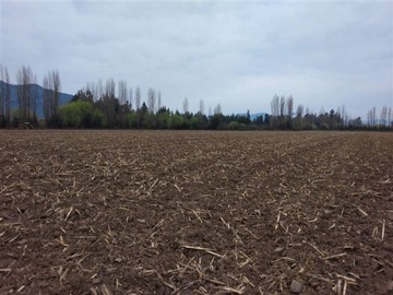 Venta / Terreno / San Vicente de Tagua Tagua