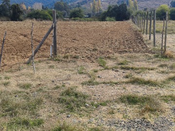 Imagen 6