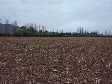 Venta / Terreno / San Vicente de Tagua Tagua