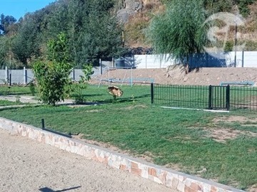 Imagen 8