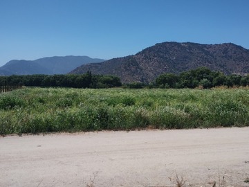 Venta / Terreno / San Vicente de Tagua Tagua