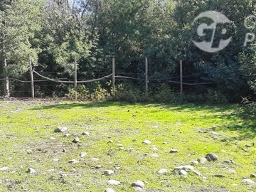 Imagen 6