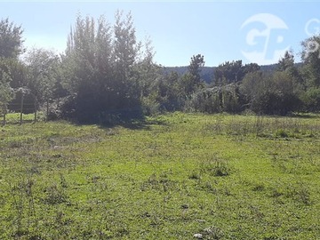 Imagen 8