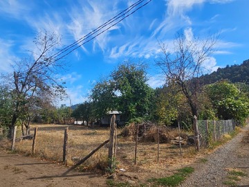 Imagen 10
