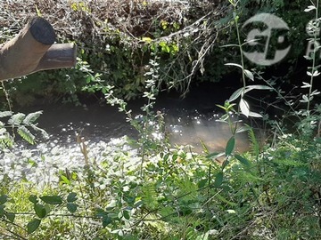Imagen 9