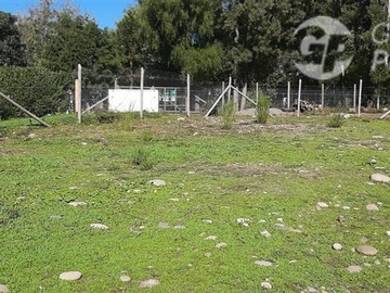 Imagen 14
