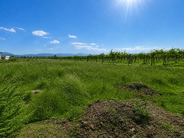 Venta / Terreno / Santa Cruz