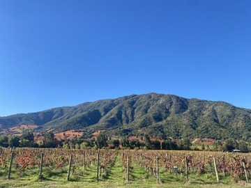Venta / Terreno / Santa Cruz
