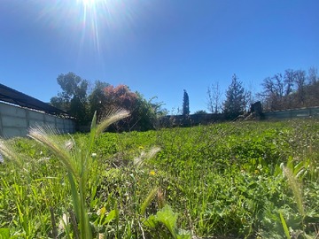 Venta / Terreno / Santa Cruz