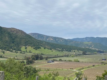 Venta / Terreno / Santa Cruz