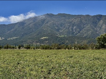 Venta / Terreno / Santa Cruz