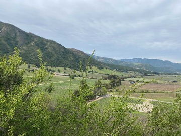 Venta / Terreno / Santa Cruz