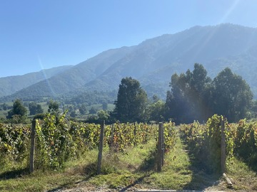 Venta / Terreno / Santa Cruz