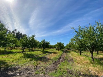 Venta / Terreno / Santa Cruz