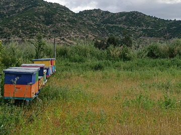 Venta / Terreno / Santa Cruz