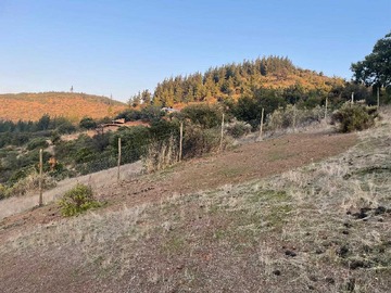 Venta / Terreno / Santa Cruz