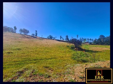 Venta / Terreno / Santa Juana