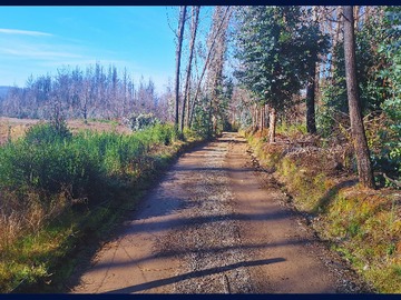 Venta / Terreno / Santa Juana