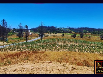 Venta / Terreno / Santa Juana