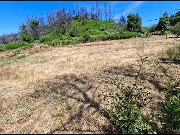 Venta / Terreno / Santa Juana