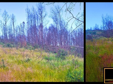 Venta / Terreno / Santa Juana