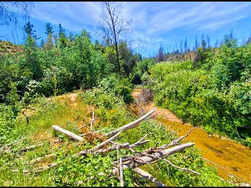 Venta / Terreno / Santa Juana