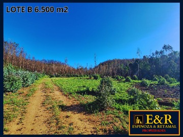 Venta / Terreno / Santa Juana