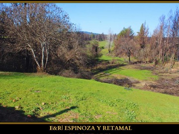 Venta / Terreno / Santa Juana