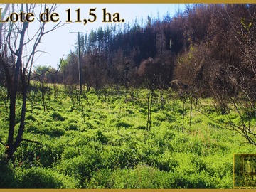 Venta / Terreno / Santa Juana