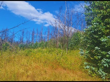 Venta / Terreno / Santa Juana