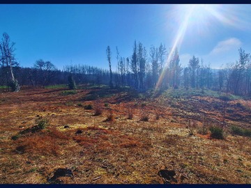 Venta / Terreno / Santa Juana
