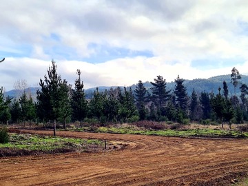 Venta / Terreno / Santa Juana