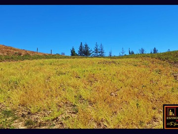 Venta / Terreno / Santa Juana