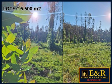 Venta / Terreno / Santa Juana