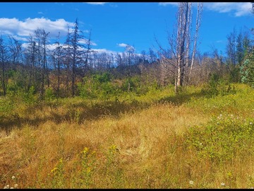 Venta / Terreno / Santa Juana
