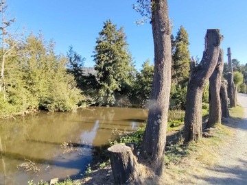 Venta / Terreno / Santa Juana