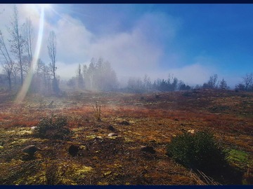 Venta / Terreno / Santa Juana